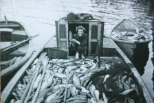 Jack Hann’s skiff&amp;nbsp; "Mary Maureena" with its dory loaded. Mike Fulford’s punt is to the left. The lady is Joan (Furlotte) Walsh weighted down in fish in 1952. Visiting from away, she is overwhelming happy to be on the Island and down around the wharves and boats.